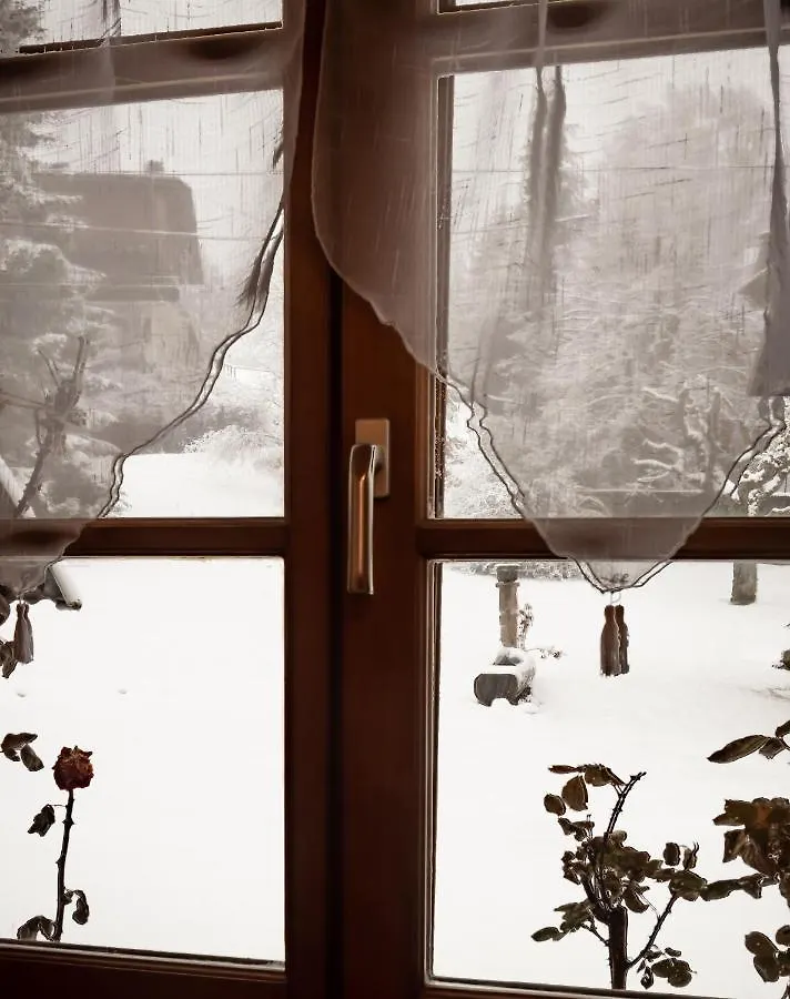 Le Chalet D'Auguste 2 A 12 Personnes Morzine 0*,